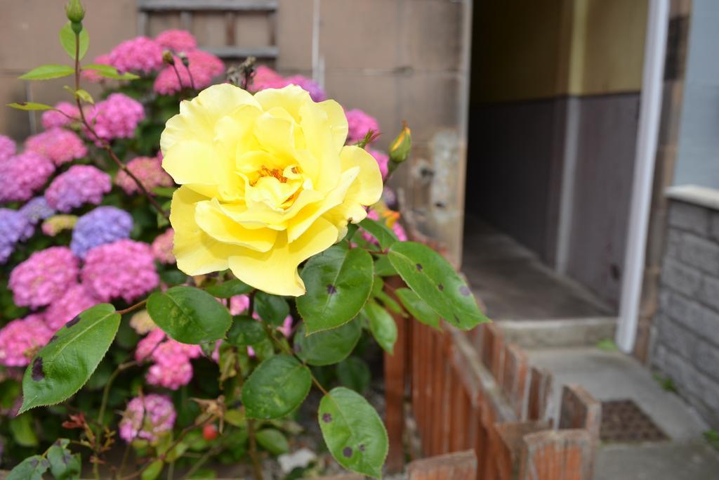 Pitt Street Apartment Beautiful Spacious Apartment Free Parking And Free Sanitizer Edimburgo Exterior foto